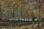 In the Footsteps of Van Gogh A Grand Day Through Brabant