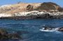 Zapallar Hiking and Bird Watching Penguin Island From Valparaíso