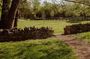 Battle at Belle Meade Civil War Tour & Complimentary Wine Tasting