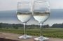Seneca Lake Wine Tasting & Tour