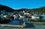 St. John's City and Coastal Journey Private SUV Tour 6 Hours