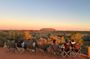 From Yulara: Uluru, Kata Tjuta, Kings Canyon and MacDonnell Range