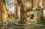 Cultural Route - Braga & Guimarães - Private - from Porto