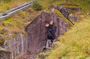 Sanfins and Briteiros Celtic Hillforts Minivan Private Tour