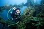 Coron Reefs & Wreck Tour (Shared Tour)