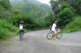 Blue Mountain Bicycle Tour from Kingston