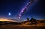 Doha Night Desert Safari Dune Bashing Camel Ride and Stargazing