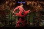 Flamenco Show & Special Menu at Torres Bermejas in Madrid