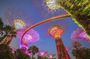 Gardens by the Bay with Marina Bay Sands Skypark