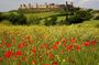 Tuscany Hiking Tour from Siena Including Wine Tasting