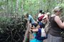 Spice Farm Tour and Jozani Forest - Private Trip