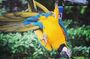 Rockland Bird Sanctuary Tour with Transportation Hotel Pick-Up