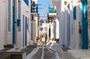 Mykonos Private Tour