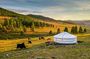Private 8 Days Mongolia Tour with Nomadic Gobi & Nature