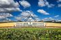 Private Canberra Tour by Luxury Mercedes