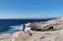 Wakayama: Sandanbeki and Senjojiki Scenic Coast Tour