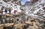Luxury Private Snow Monkey and Cultural Tour of Nagano