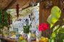 Typical experience in the lemon groves of the Amalfi coast