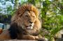 Skip-the-line Oliwa Zoo Gdansk Tour & Private Transport