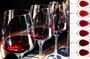 3 Italian reds: variety, passion and character in every sip