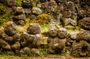 Arashiyama Bamboo Forest E-Biking Tour
