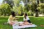 Private Seville Market Tour & Gourmet Picnic in María Luisa Park