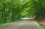 3 Days/2 Nights Kakheti Region Tour Package in Georgia