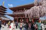 Tokyo Highlights Private Custom Tour with Licensed Guide & Driver