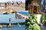 2 Days Kampot & Kep Beach Tour from Phnom Penh