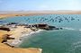 Paracas Reserve Tour from Pisco Cruise Ship Terminal
