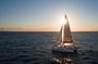 Grand Bay Sunset Cruise with Snacks and Drinks