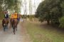 Horseback Riding Tour and Polo in Argentine Countryside