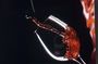 Private Amarone & Valpolicella Wine Tour from Venice
