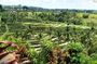 Tanah Lot Sunset & Jatiluwih Unesco Rice Terrace Private Tour