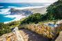 Cape Town Shore Tour: Table Mountain, Penguin & Cape Point