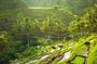Full day Ubud Tour Combine bali horse ride adventure in the beach