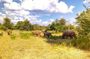 Game Drive into the Musi Otunya National Park