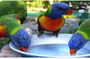 Rockland Bird Sanctuary Private Tour