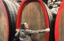 Small Group Wine Tasting in Tuscany with Vineyard Visit