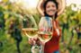 Napa & Sonoma Guided Wine Tour with Tastings from San Francisco