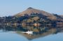 Otago Harbour Wildlife Cruise (Dunedin Shore Excursion)