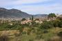 Sóller Private Walking Tour with official tour guide