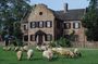 Middleton Plantation-3 hour guided tour- hotel pickup