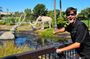 La Brea Tar Pits Segway Tour