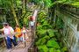 Koh Ker & Beng Mealea Excursion Join-in Tour - Free Hotel Pickup