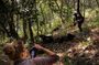 3 Days Uganda x2 Double Gorilla Trekking Safari From Kigali