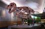 Field Museum of Natural History Early Access Ticket