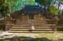 Glorious San Ignacio: A Private Walking Tour of Love