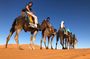 7-days: Casablanca to Chefchaouen then Fes and Sahara Desert - Camel Trekking
