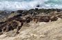 La Jolla Jig Scavenger Hunt